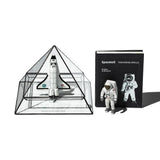 STAINED GLASS PLANT DISPLAY