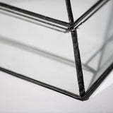 STAINED GLASS PLANT DISPLAY