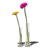 SINGLE FLOWER VASE / 50ml
