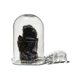 DISPLAY GLASS DOME