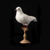 ARTIFICIAL BIRDS Dove / Large